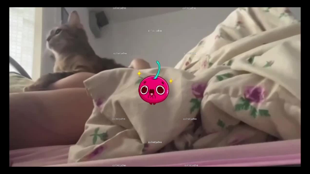 คลิปหลุดทางบ้าน เมีย น้องไอติม นมอย่างใหญ่โคตรน่าเลีย โดนซะหมดสภาพ โดนเสียบแตกใน นั่งควบควยใหญ่โยกไม่หยุด แตกใส่ปากเต็มคำ